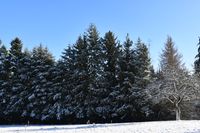 Winterlandschaft